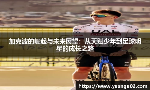 竞技宝官网网站